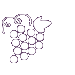 grapes